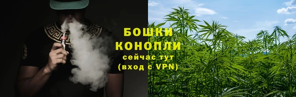 шишки Гусь-Хрустальный