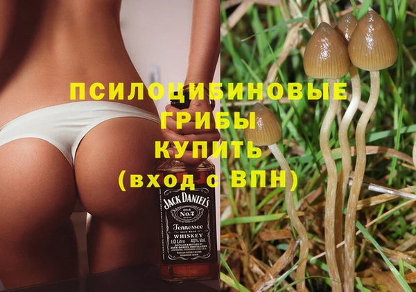 бутират Гусиноозёрск
