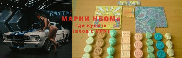 шишки Гусь-Хрустальный