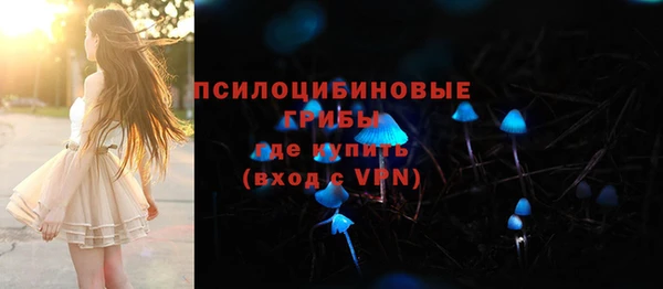 шишки Гусь-Хрустальный