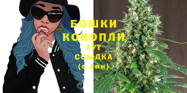 шишки Гусь-Хрустальный