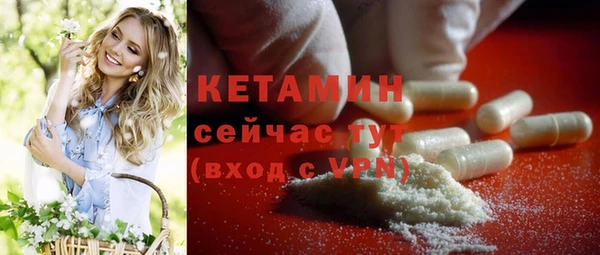 шишки Гусь-Хрустальный